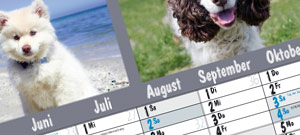 Wandplaner mit Bildern, Plakatkalender